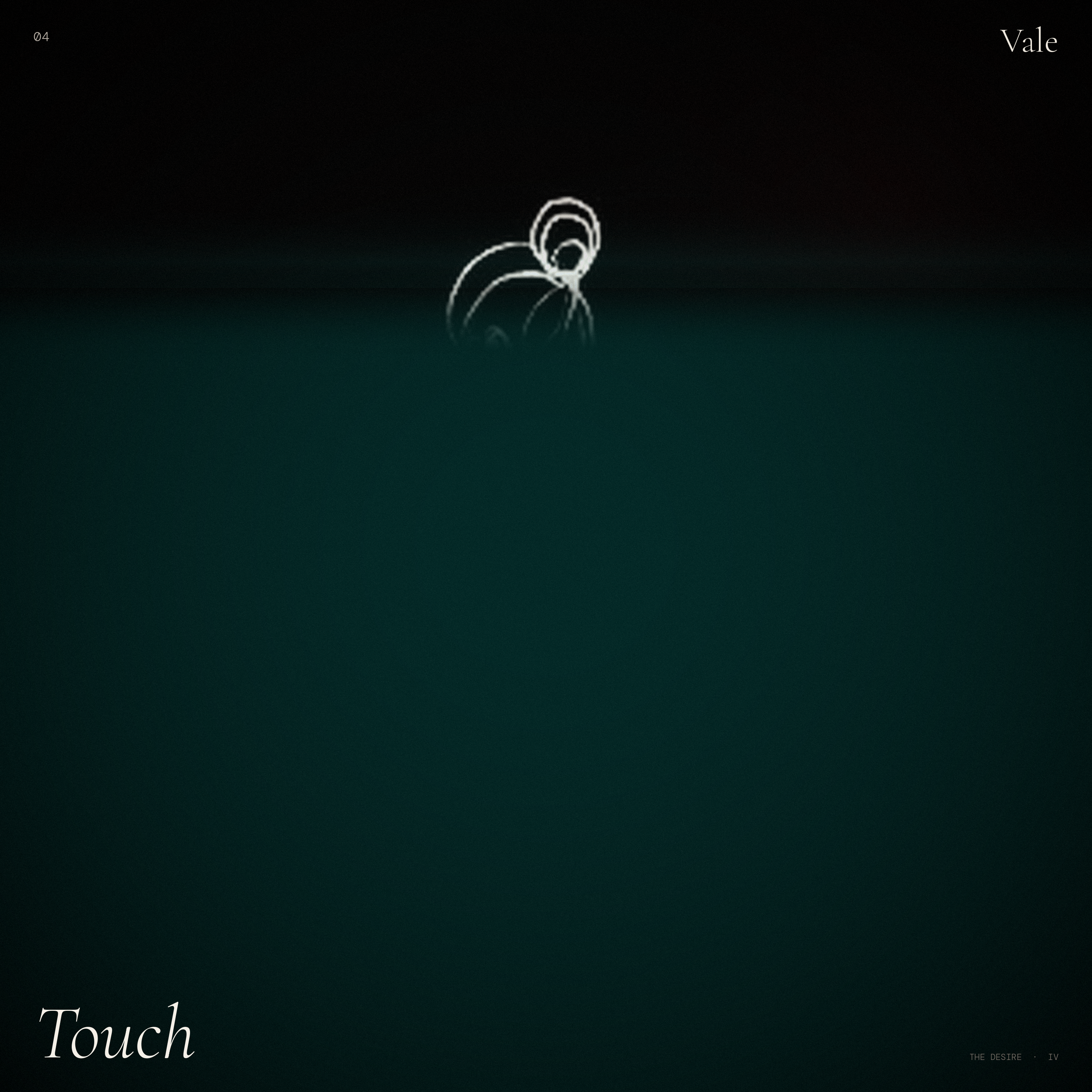 Touch track cover